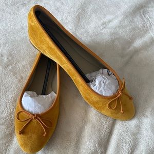 Guilhermina gold flats